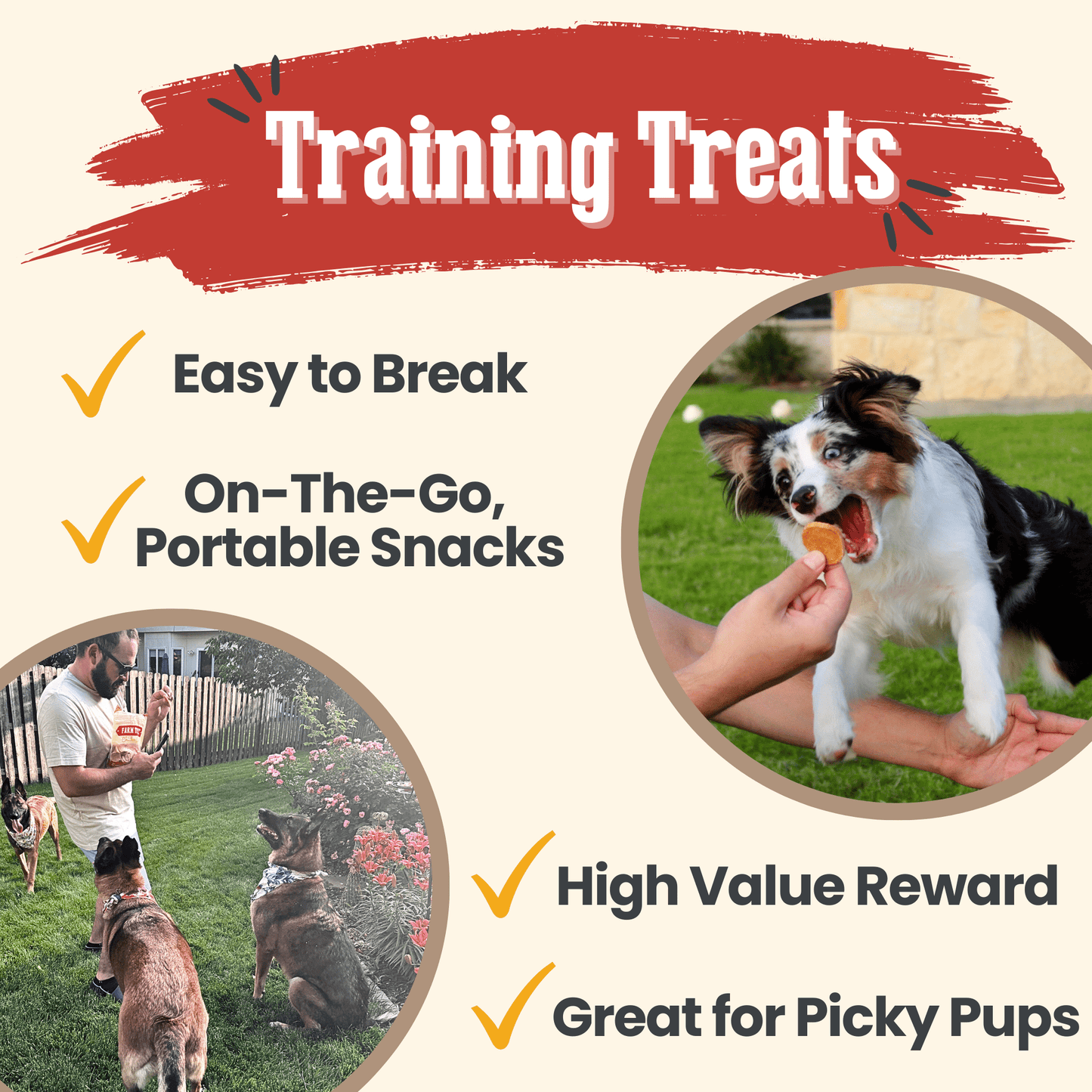 Chicken Chips for Dogs – Single-Ingredient, 80% Protein | Human-Grade | Made in USA
