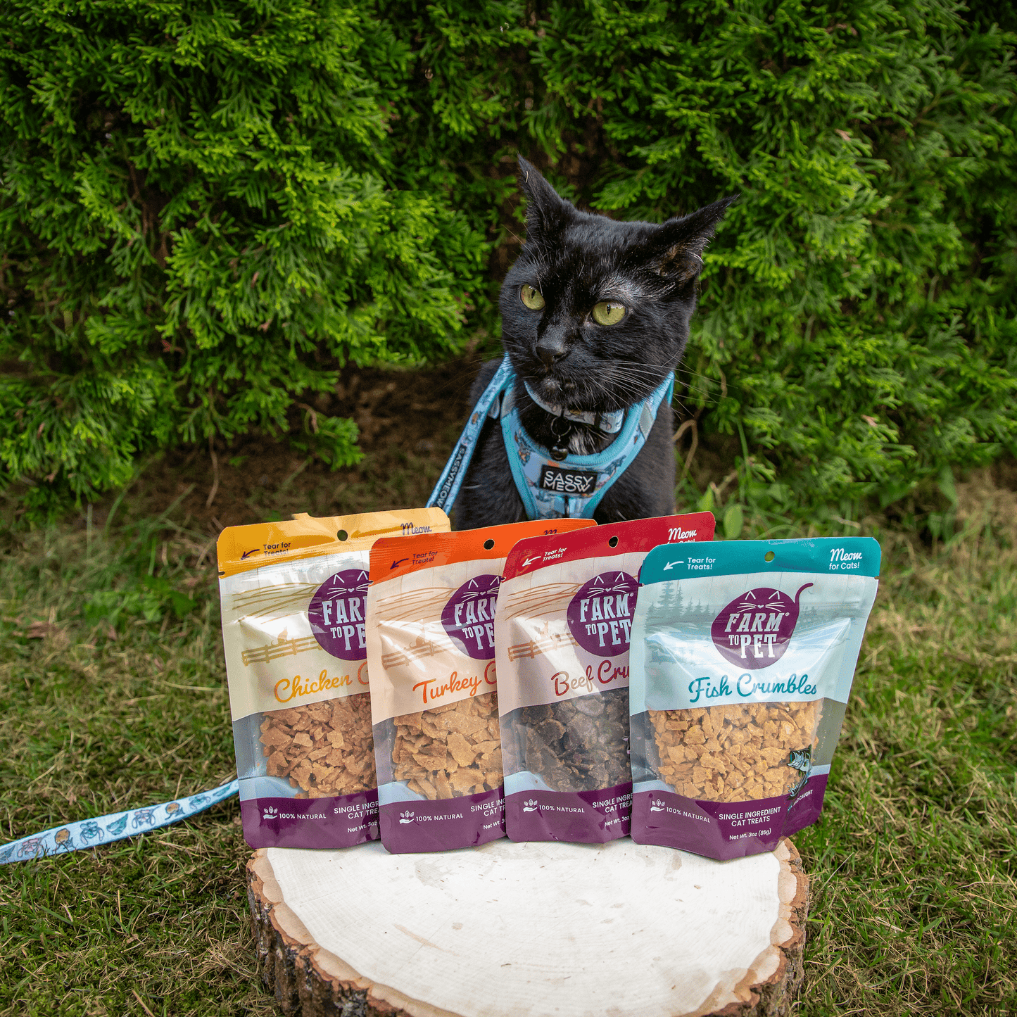 Fish Crumbles for Cats – Single-Ingredient Walleye | Grain-Free | Made in USA