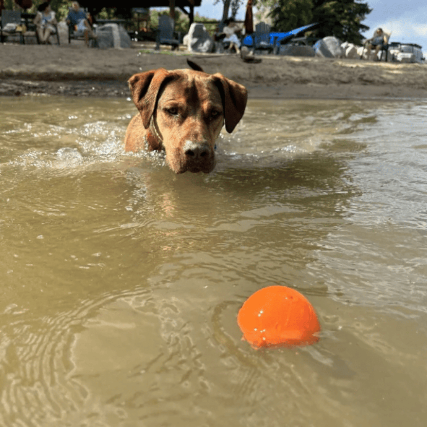 SodaPup Dog Fetch Balls – Floating, Glow-in-Dark & Bounce | Durable | Made in USA