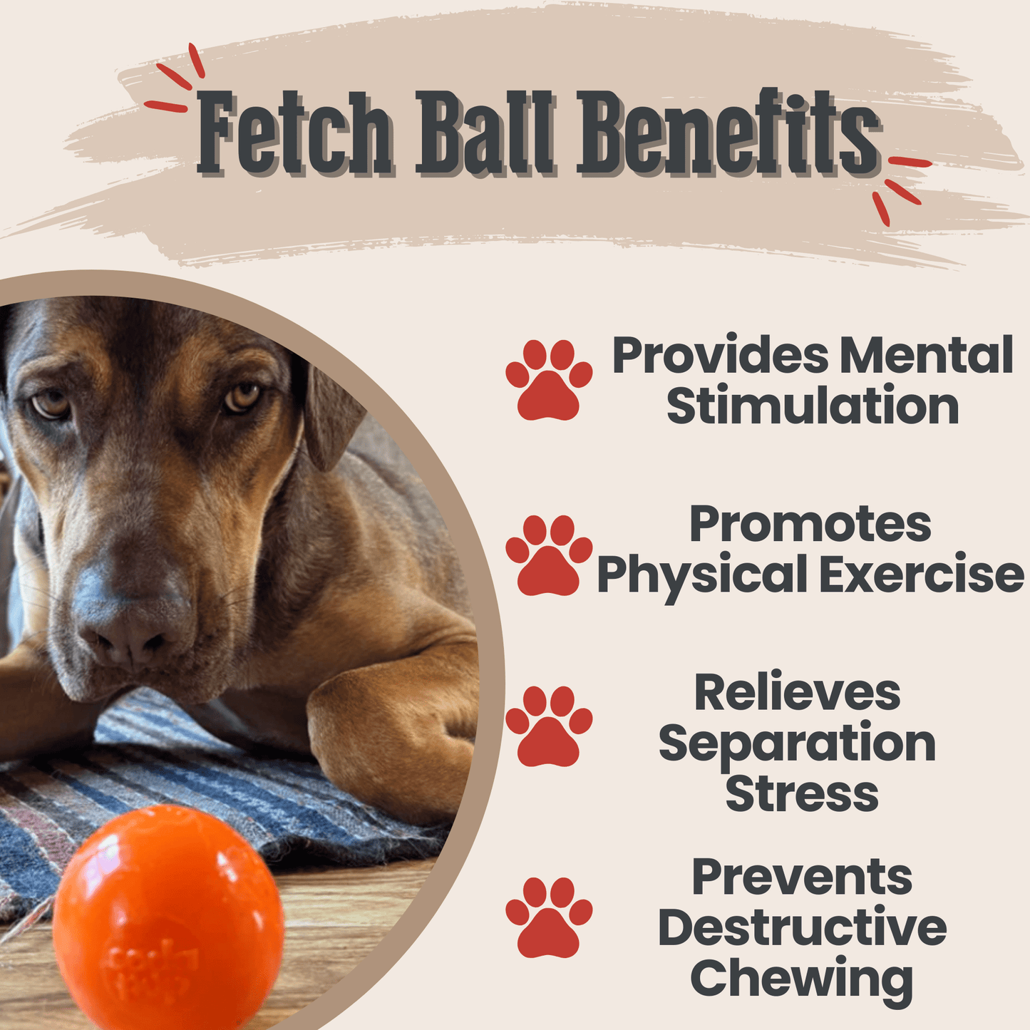 SodaPup Dog Fetch Balls – Floating, Glow-in-Dark & Bounce | Durable | Made in USA