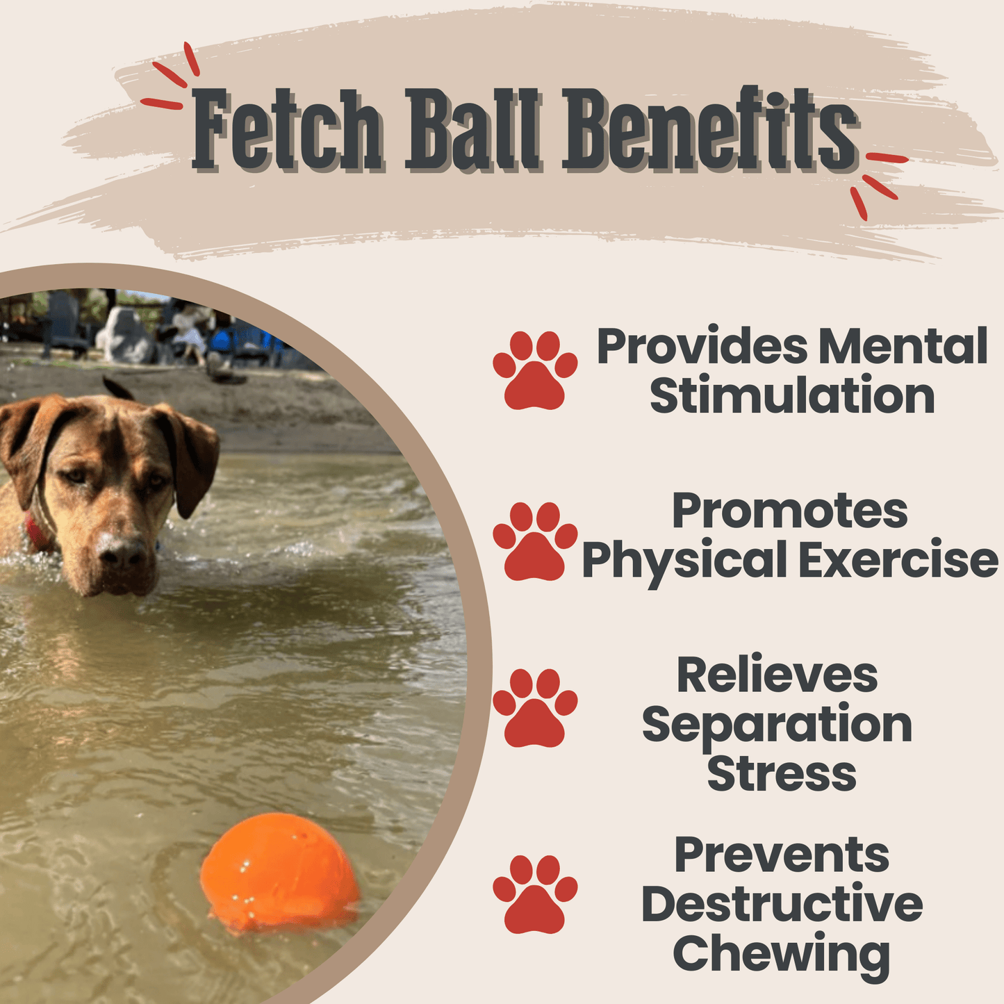 SodaPup Dog Fetch Balls – Floating, Glow-in-Dark & Bounce | Durable | Made in USA
