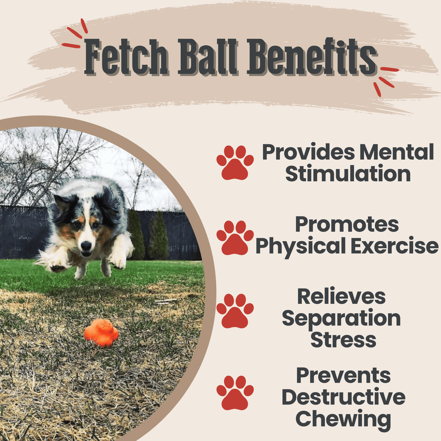 SodaPup Dog Fetch Balls – Floating, Glow-in-Dark & Bounce | Durable | Made in USA
