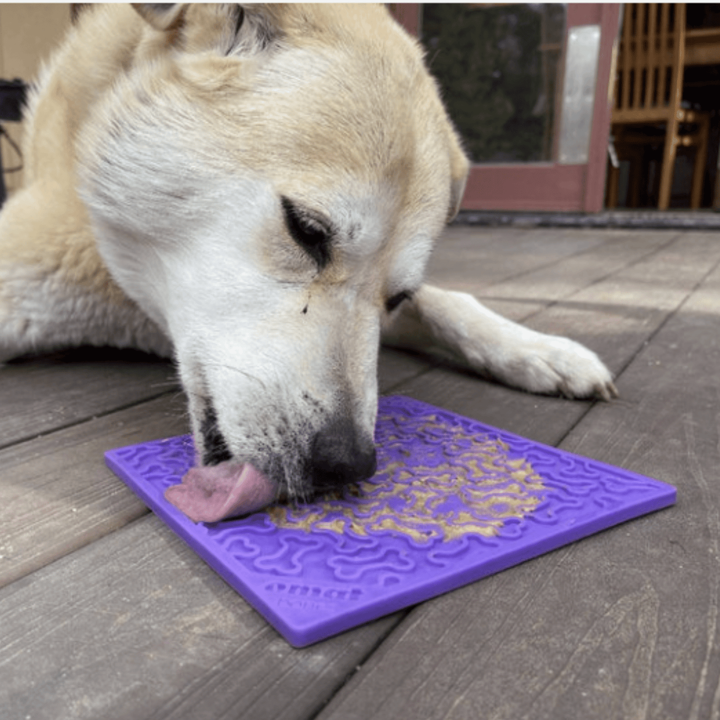 SodaPup Dog Lick Mats – Calming Enrichment Feeder | BPA-Free | Made in USA | 4 Styles