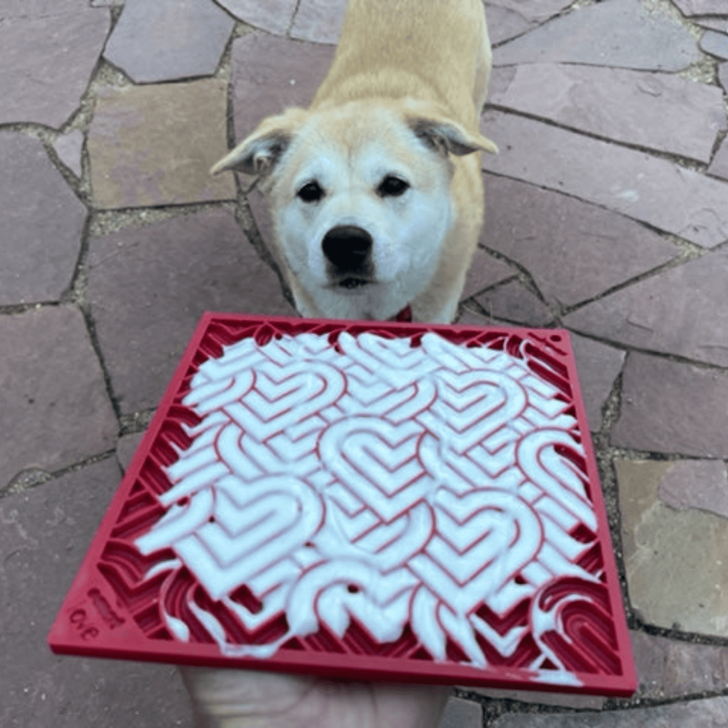 SodaPup Dog Lick Mats – Calming Enrichment Feeder | BPA-Free | Made in USA | 4 Styles