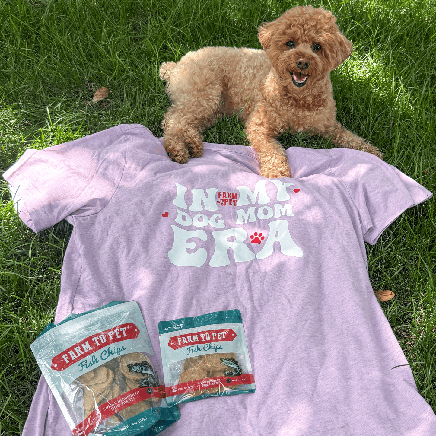 Dog Mom Era T-Shirt – Soft Women’s Graphic Tee | Gift for Dog Moms
