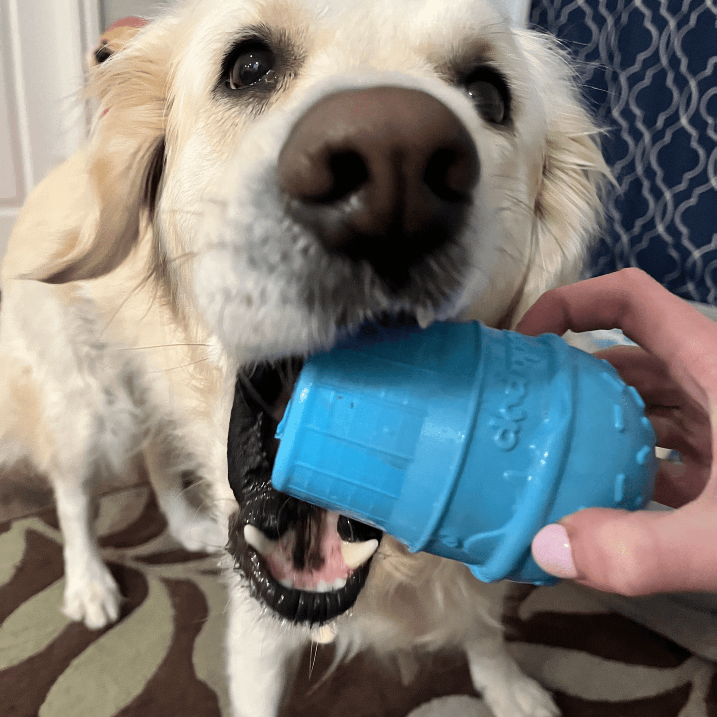 SodaPup Dog Treat Dispensers – Enrichment Feeder | Dishwasher Safe | Made in USA | 6 Styles