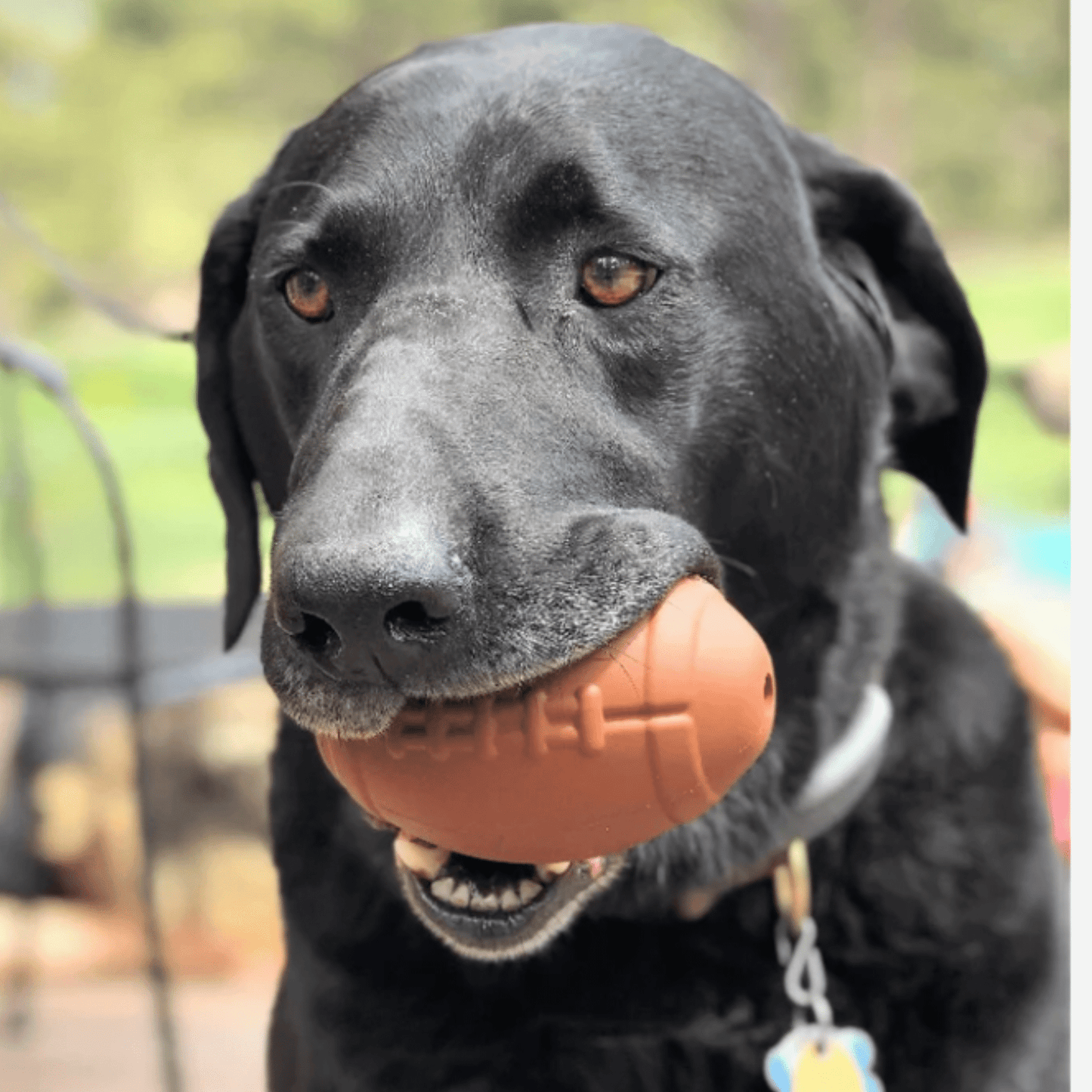 SodaPup Dog Treat Dispensers – Enrichment Feeder | Dishwasher Safe | Made in USA | 6 Styles