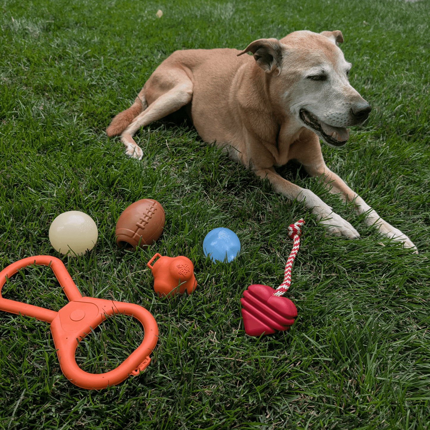 SodaPup Dog Tug & Chew Toys – Durable, Non-Toxic | Made in USA | 3 Styles