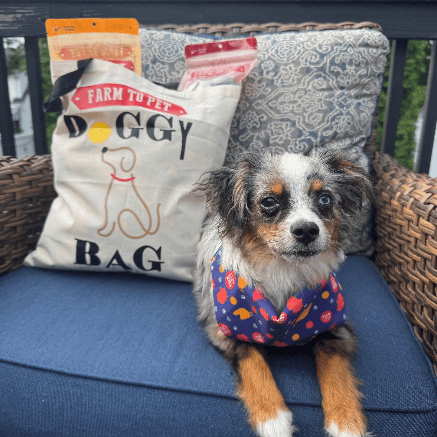Farm to Pet "Doggie Bag" Tote – Cotton Canvas | Machine Washable | Gift for Dog Lovers