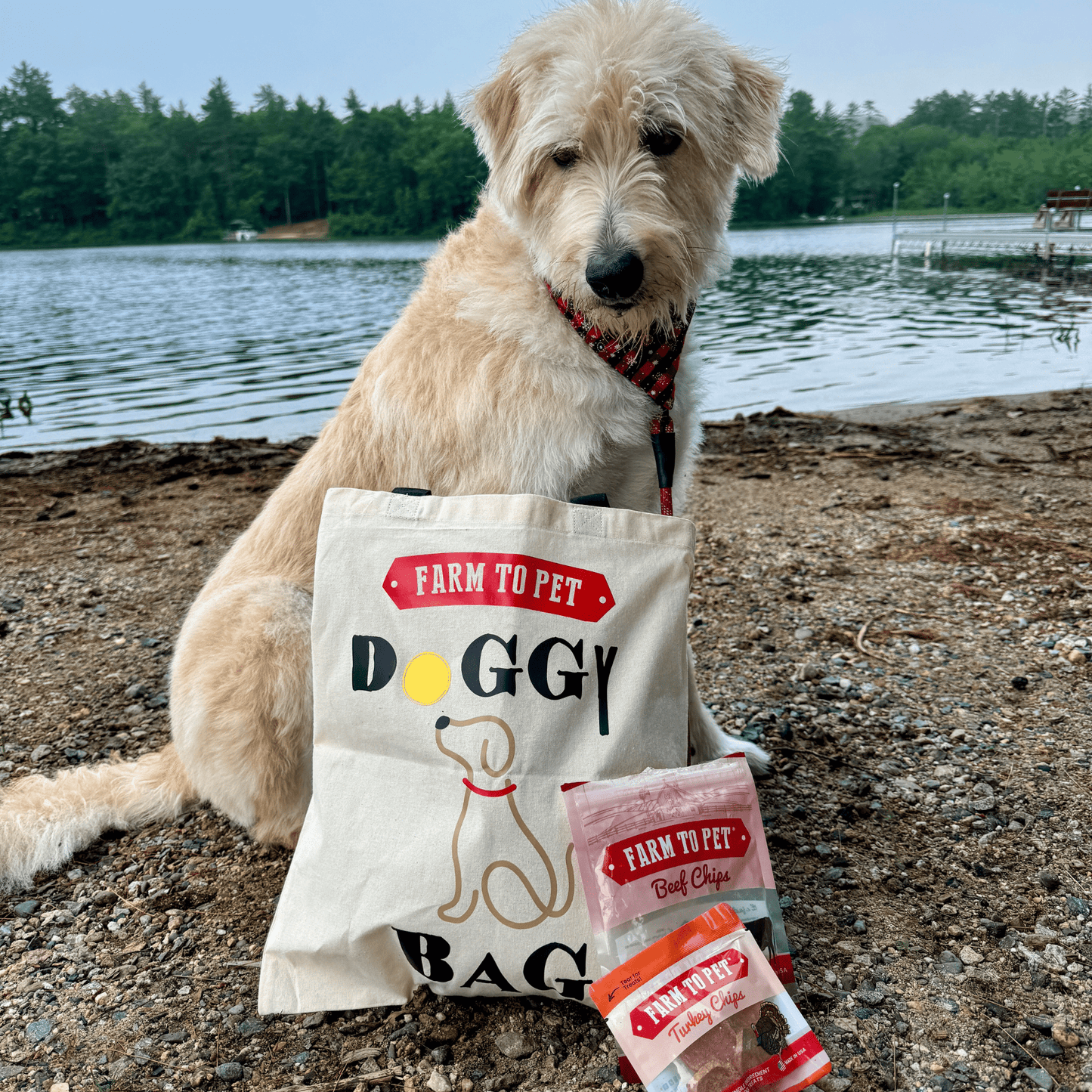 Farm to Pet "Doggie Bag" Tote – Cotton Canvas | Machine Washable | Gift for Dog Lovers