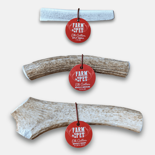 Elk Antler Dog Chews – Whole & Split | Splinter-Resistant, Non-Allergenic | Wild-Harvested Wyoming
