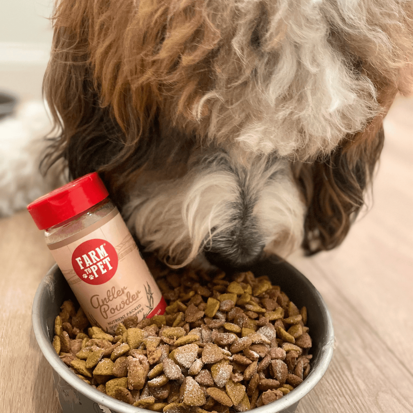 Antler Powder Dog Food Topper – Organic Elk, 37% Protein | Non-Allergenic | Made in USA