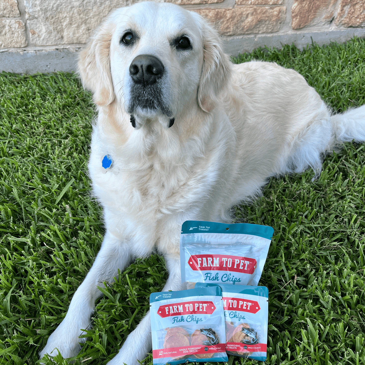 Fish Chips Snack Packs – Single-Ingredient Walleye Dog Treats | Training & Travel