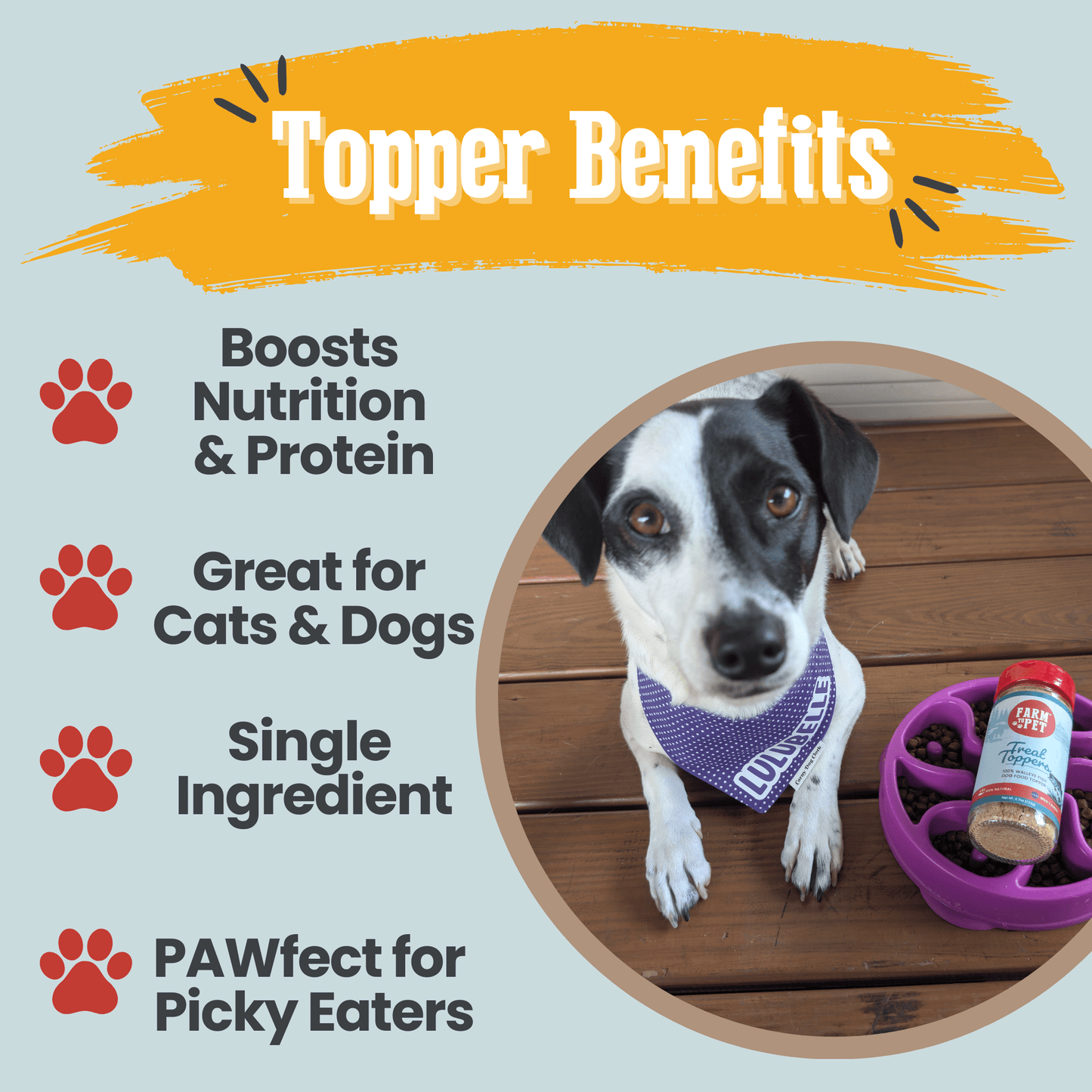 Fish Dog Food Topper – Single-Ingredient Walleye, 74% Protein | Omega-3 | Made in USA