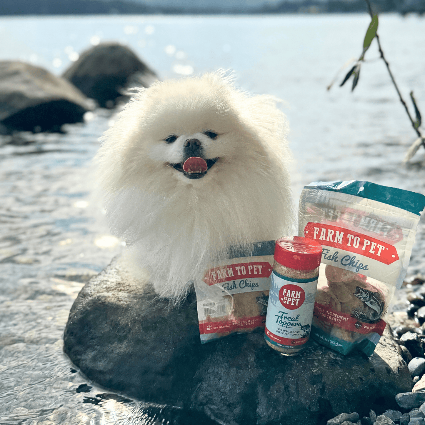 Fish Dog Food Topper – Single-Ingredient Walleye, 74% Protein | Omega-3 | Made in USA
