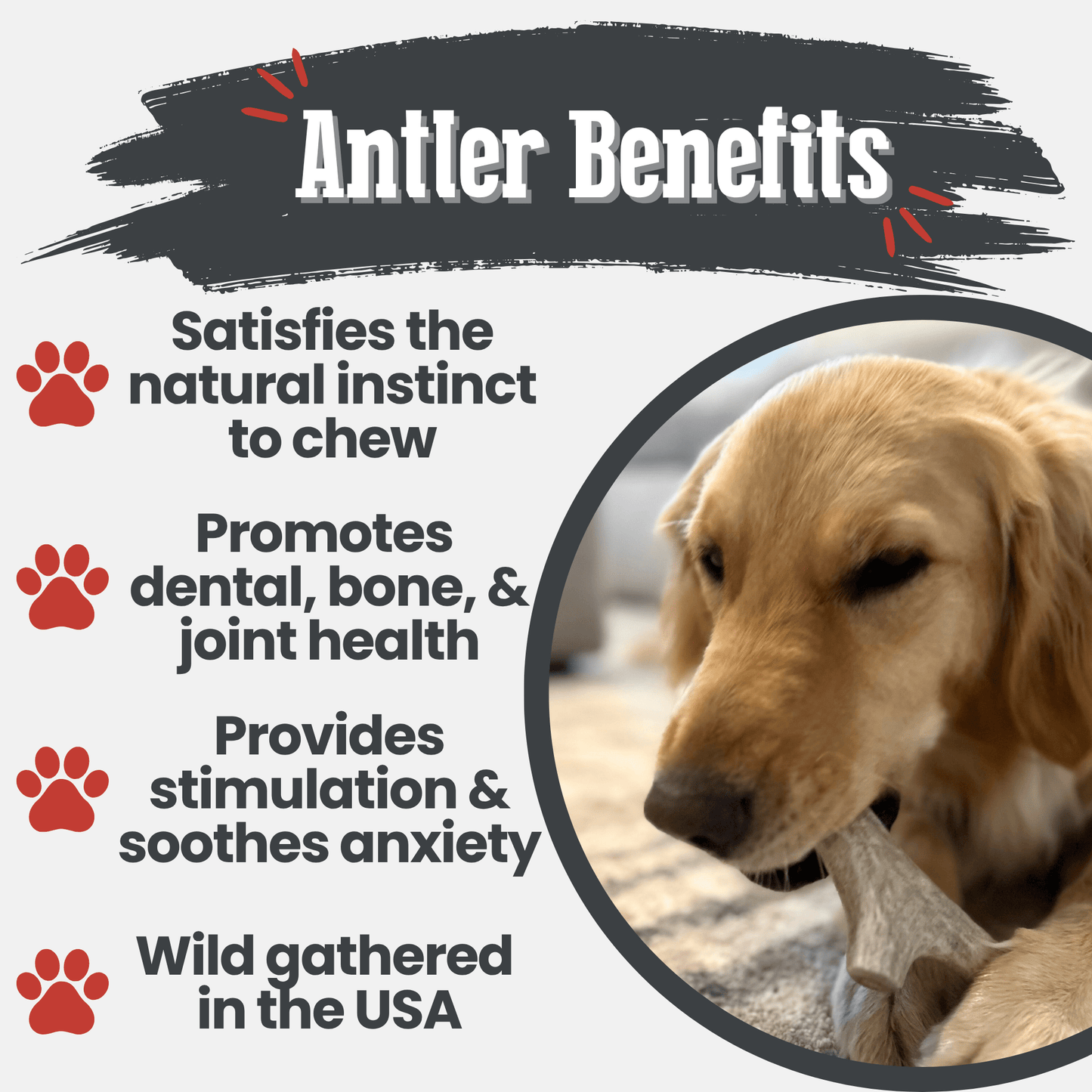 Deer Antler Dog Chews – Organic Long-Lasting Chews for Aggressive Chewers