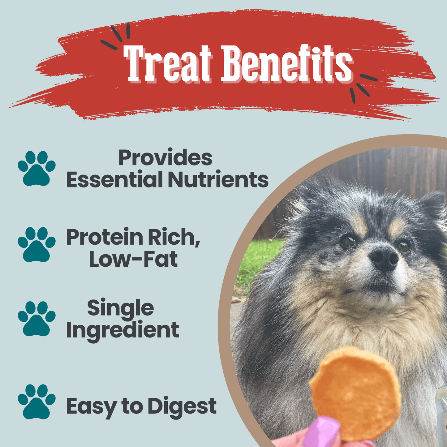 Fish Chips Snack Packs – Single-Ingredient Walleye Dog Treats | Training & Travel
