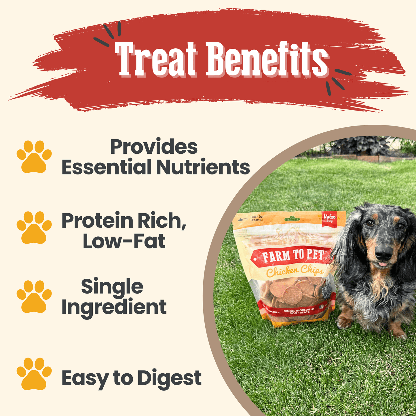 Chicken Chips for Dogs – Single-Ingredient, 80% Protein | Human-Grade | Made in USA