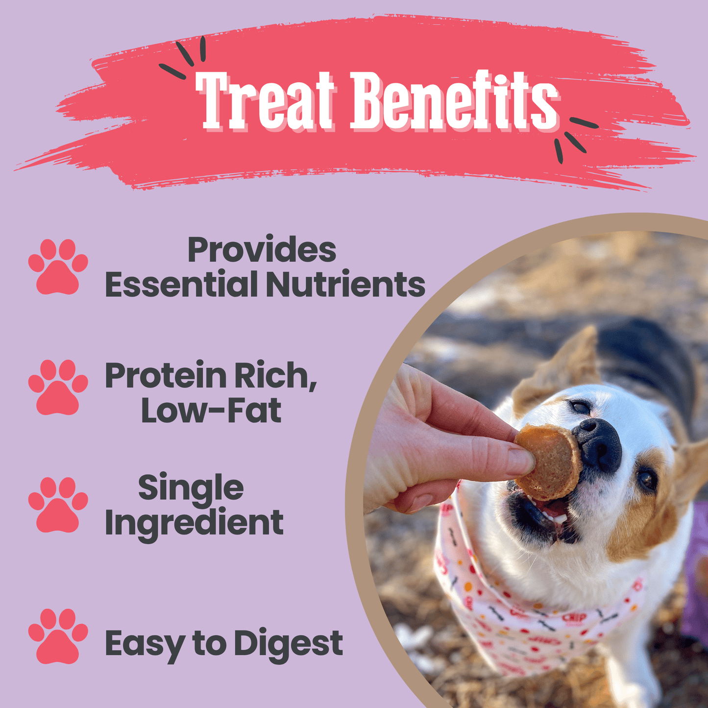 Puppy Love Dog Treat Duo – Chicken & Turkey Chips Value Pack | Single-Ingredient | Made in USA