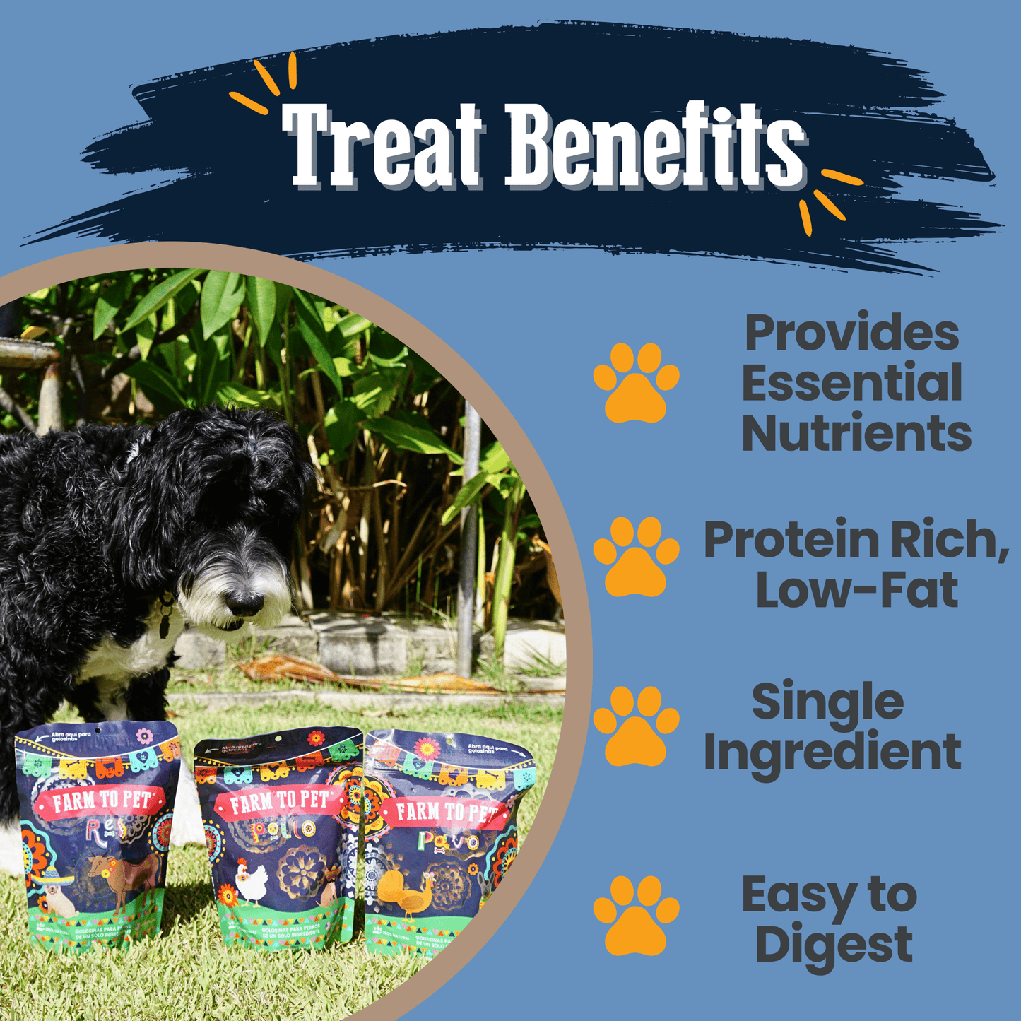 Fiesta Pack – Dog Treat Variety Bundle | Chicken, Turkey & Beef Protein Chips