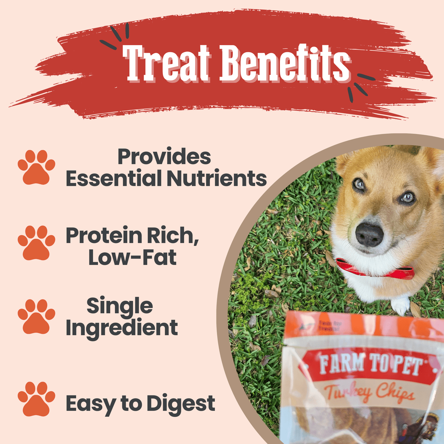 Turkey Chips Snack Packs – Single-Ingredient, Low-Allergen | Training Treats | Made in USA