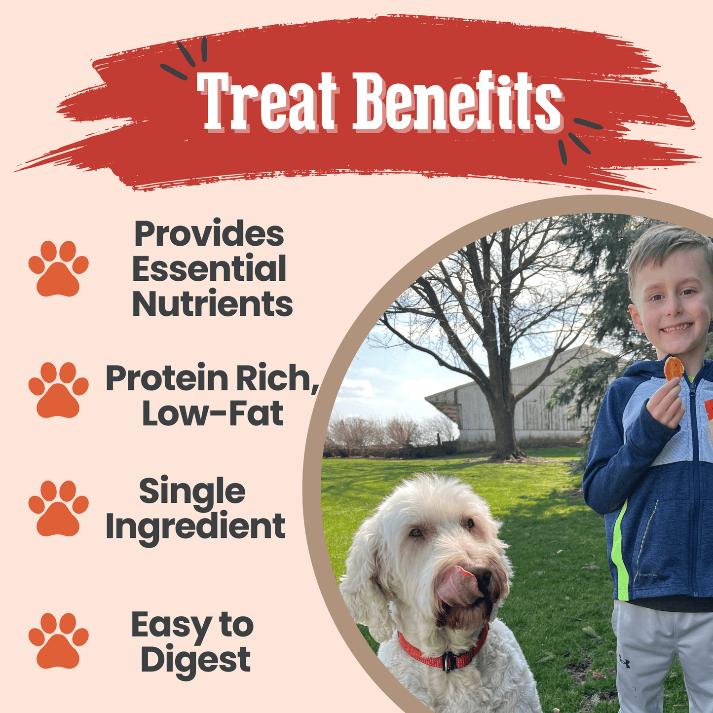 Turkey Chips for Dogs – Single-Ingredient, 85% Protein | Human-Grade | Made in USA