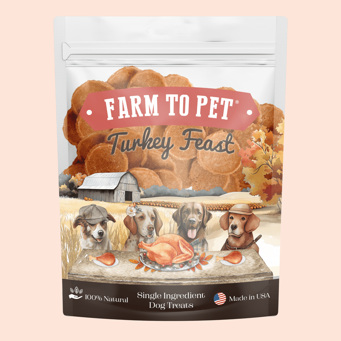 Turkey Feast Chips – Single-Ingredient, 85% Protein | Value 12oz | Human-Grade | Made in USA