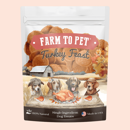 Turkey Feast Chips – Single-Ingredient, 85% Protein | Value 12oz | Human-Grade | Made in USA