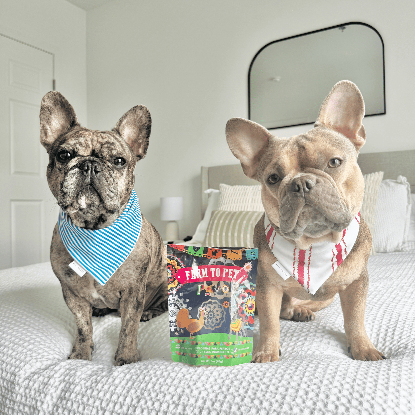 Fiesta Pack – Dog Treat Variety Bundle | Chicken, Turkey & Beef Protein Chips