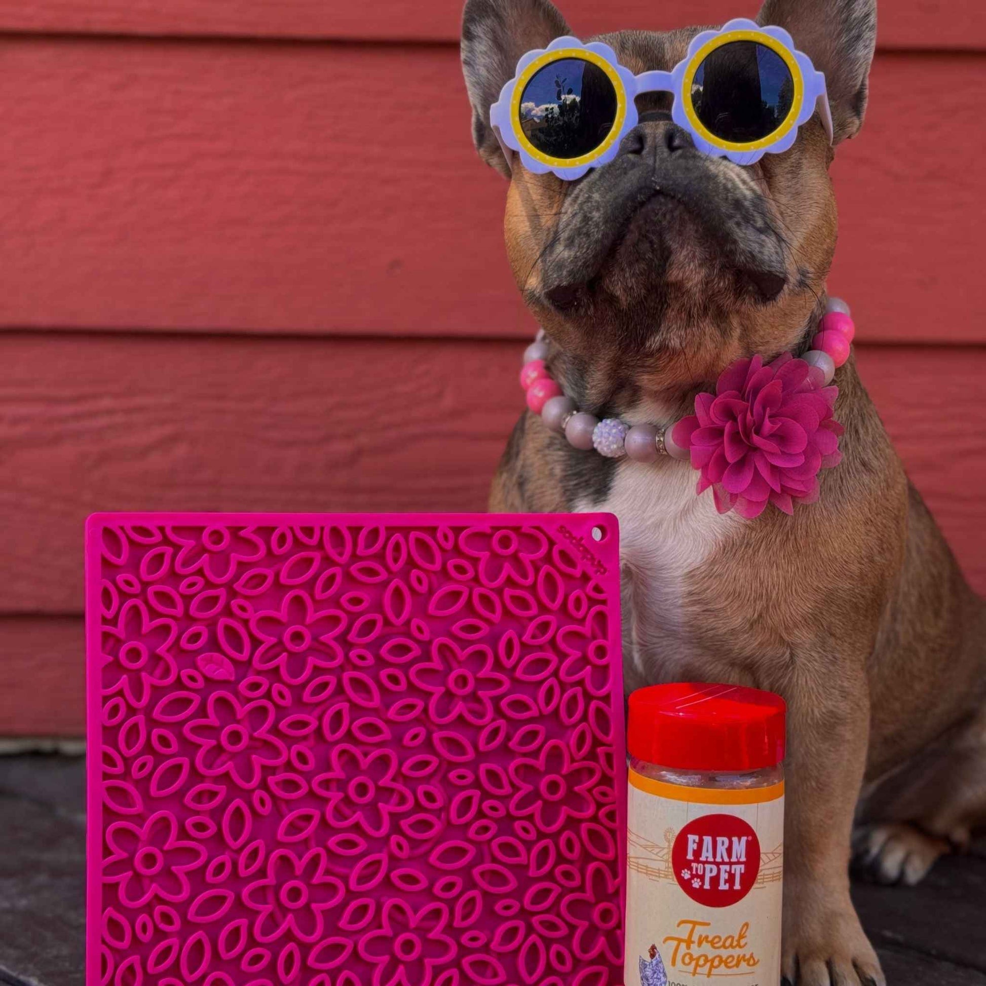 Dog Lick Mats
