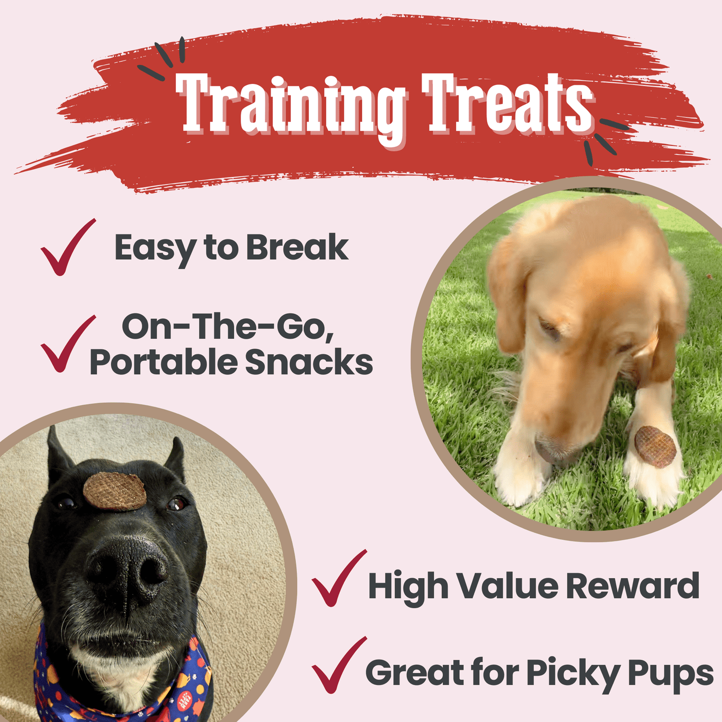 Beef Chips for Dogs – Single-Ingredient, Human-Grade | 6 Cal/Chip | Made in USA