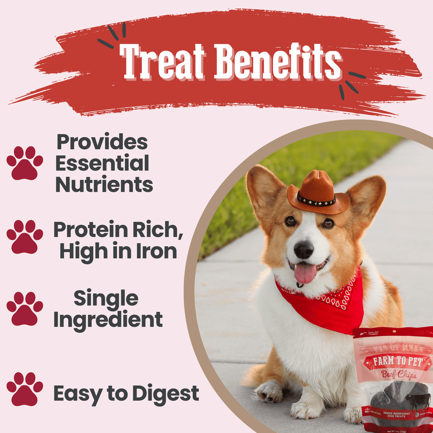 Beef Chips for Dogs – Single-Ingredient, Human-Grade | 6 Cal/Chip | Made in USA