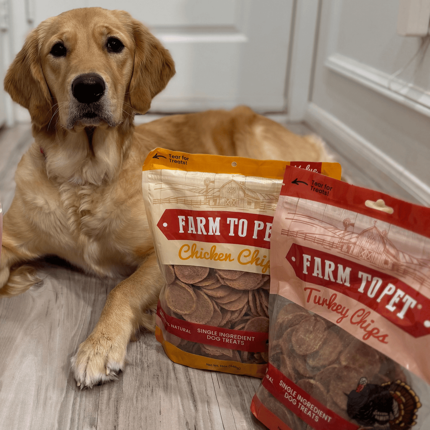 Turkey & Chicken Chip Dog Treat Duo – Single-Ingredient Poultry Value Pack | Made in USA
