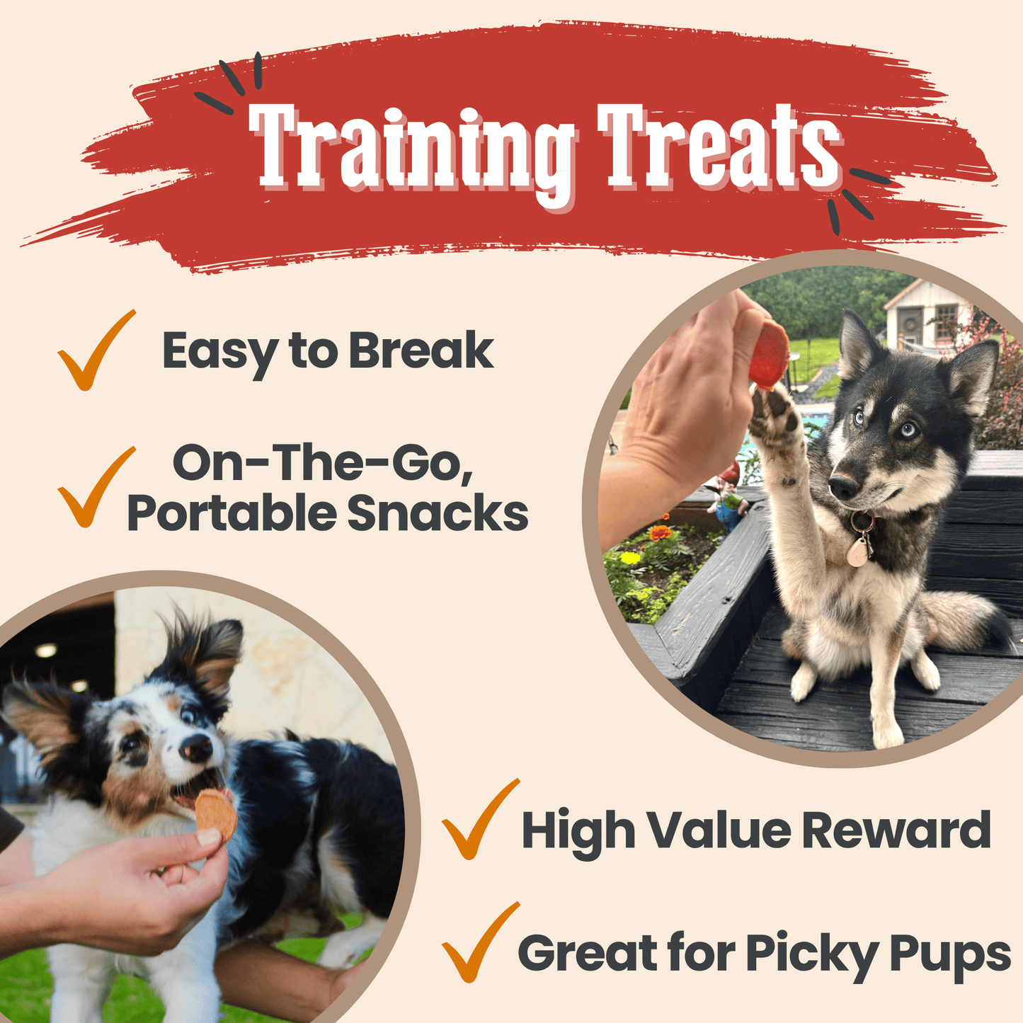 Turkey & Chicken Chip Dog Treat Duo – Single-Ingredient Poultry Value Pack | Made in USA