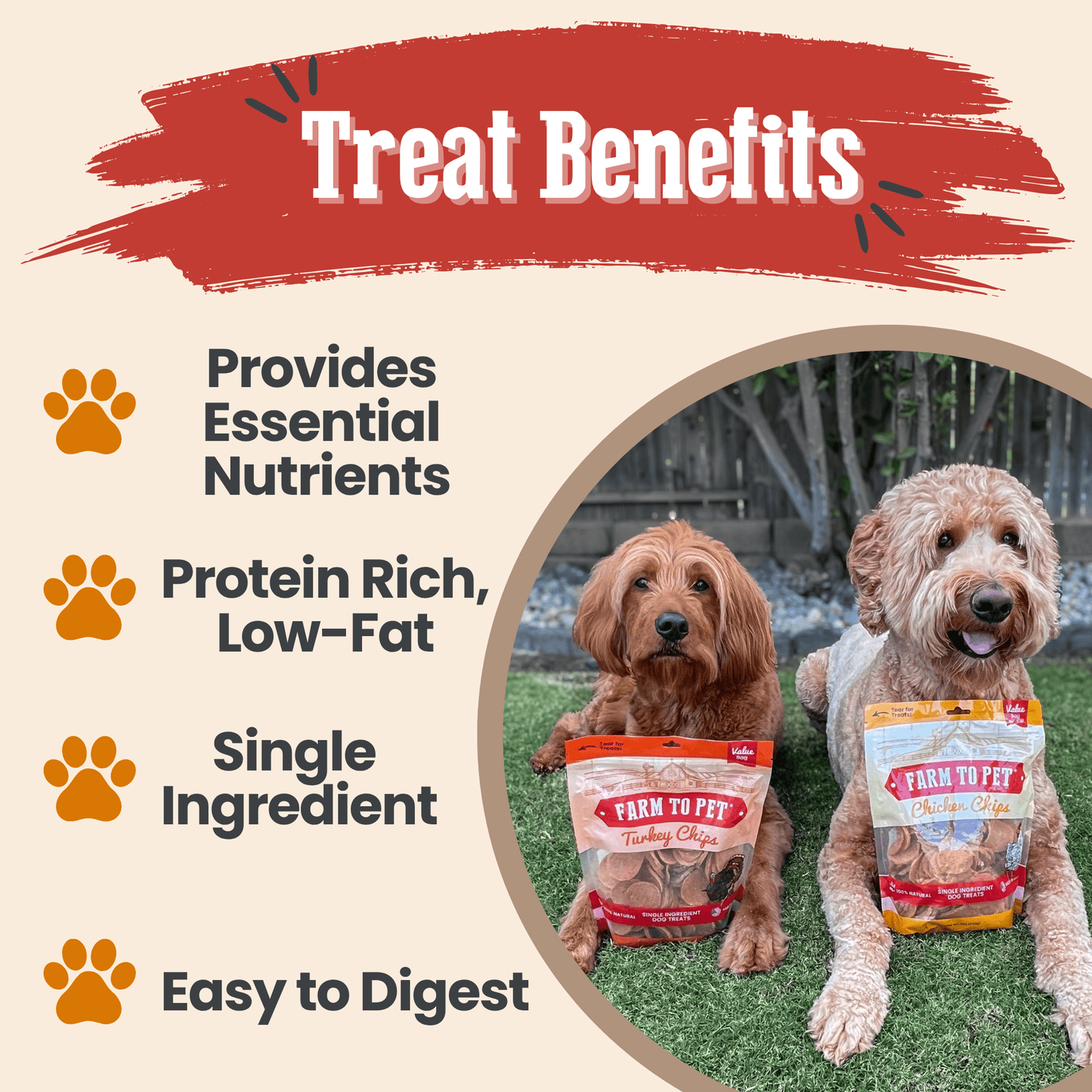 Turkey & Chicken Chip Dog Treat Duo – Single-Ingredient Poultry Value Pack | Made in USA