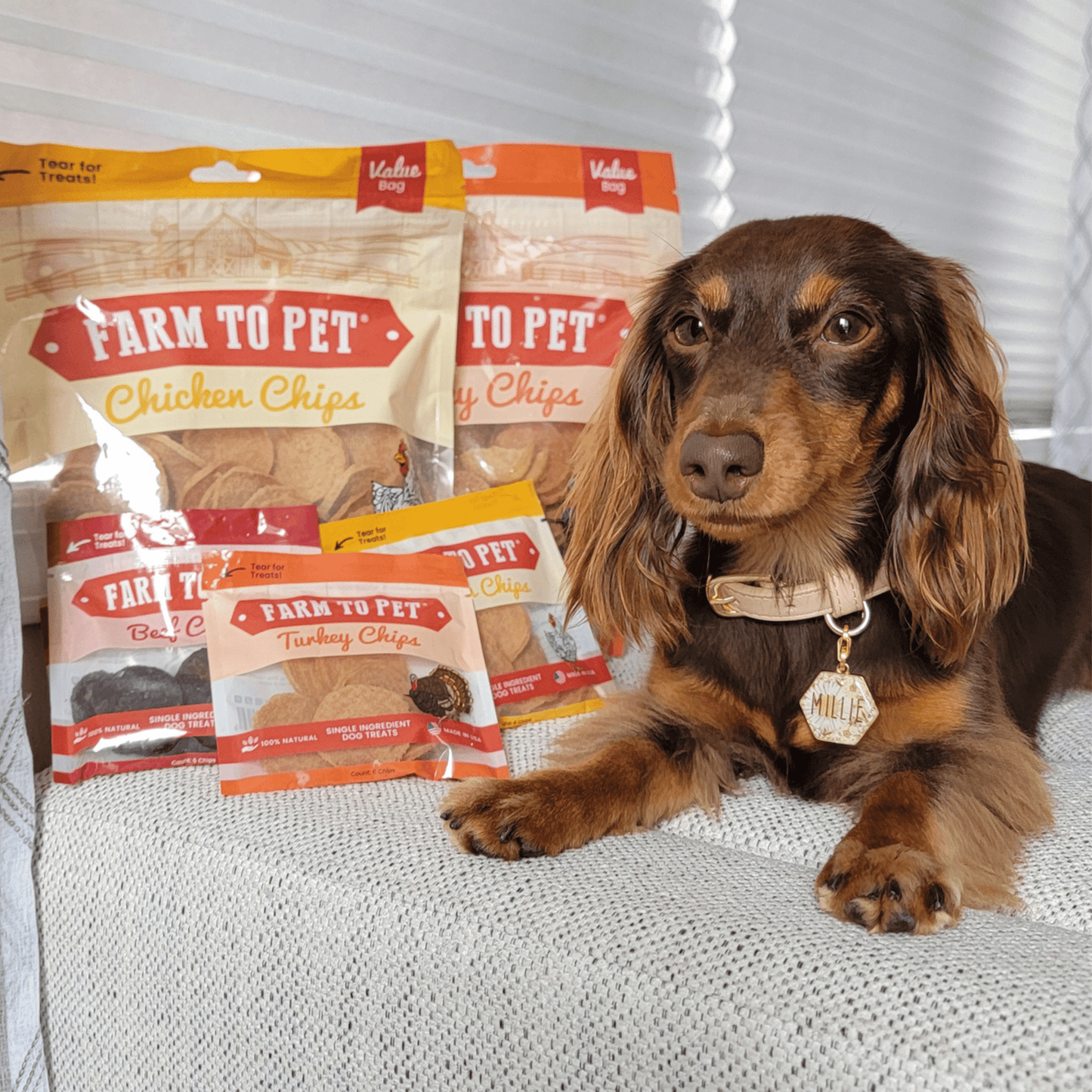 Turkey & Chicken Chip Dog Treat Duo – Single-Ingredient Poultry Value Pack | Made in USA