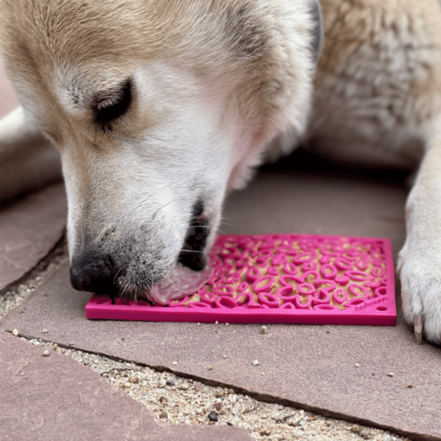 SodaPup Lick Mats for Cats & Small Dogs – Calming Enrichment | BPA-Free | Made in USA | 4 Styles