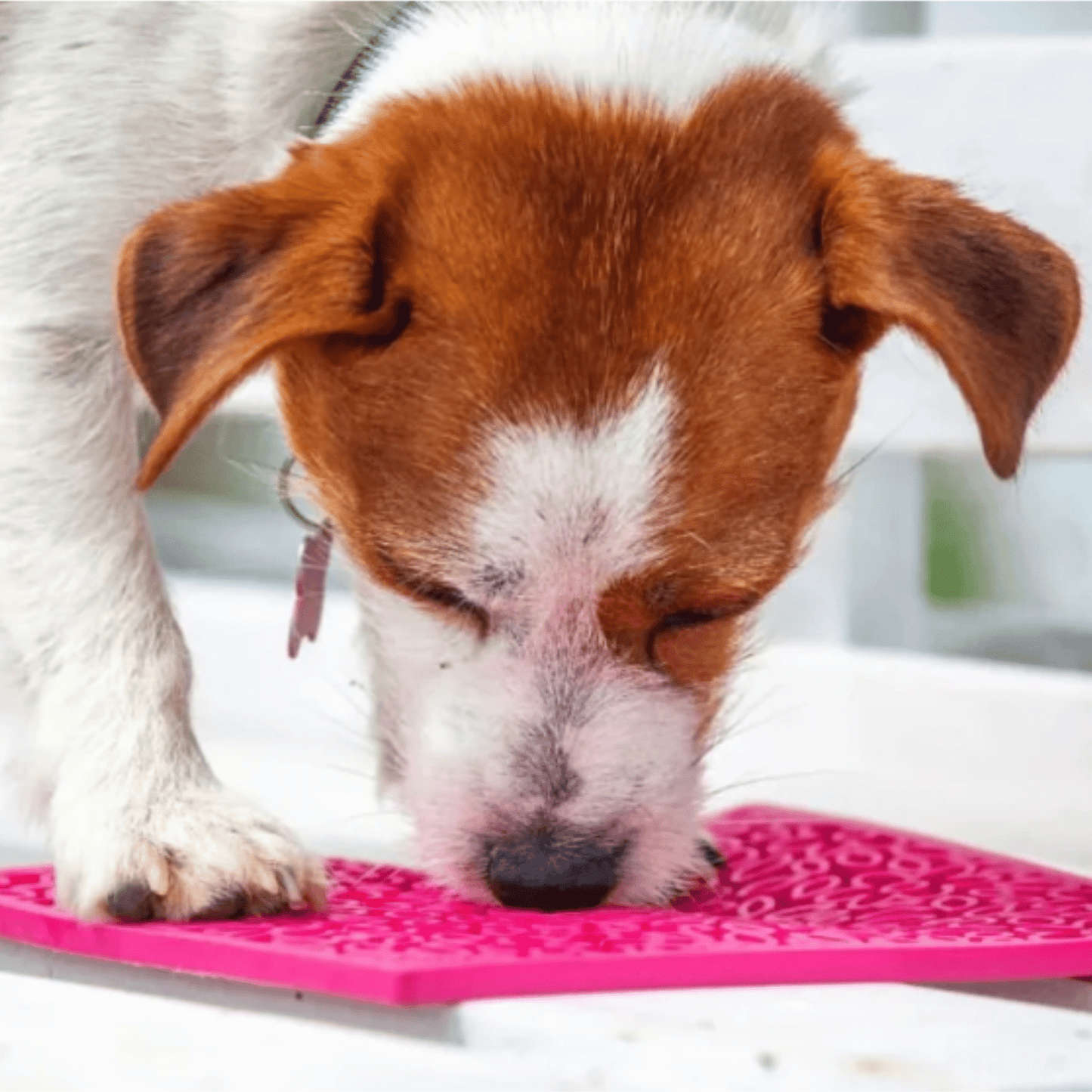 SodaPup Lick Mats for Cats & Small Dogs – Calming Enrichment | BPA-Free | Made in USA | 4 Styles