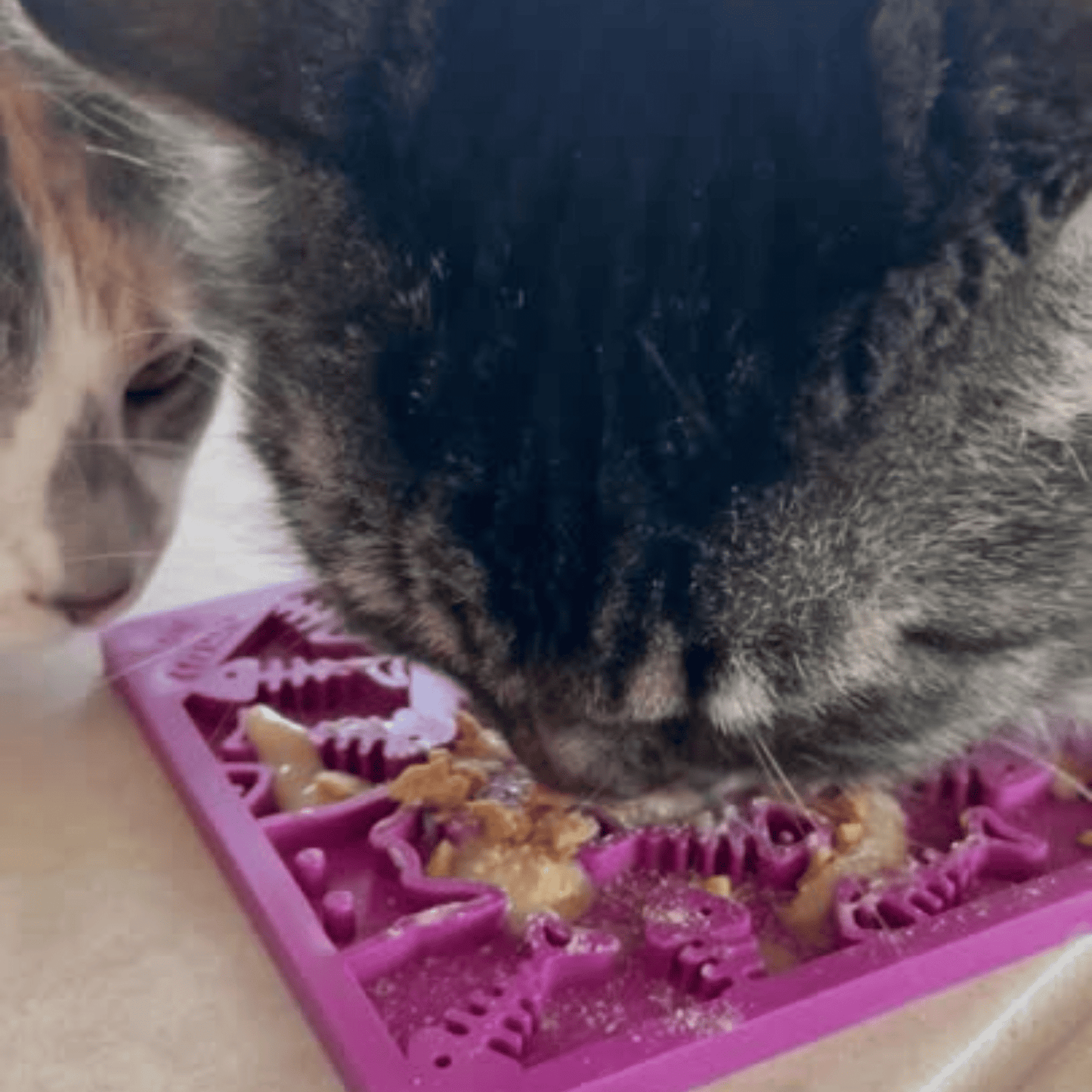 SodaPup Lick Mats for Cats & Small Dogs – Calming Enrichment | BPA-Free | Made in USA | 4 Styles