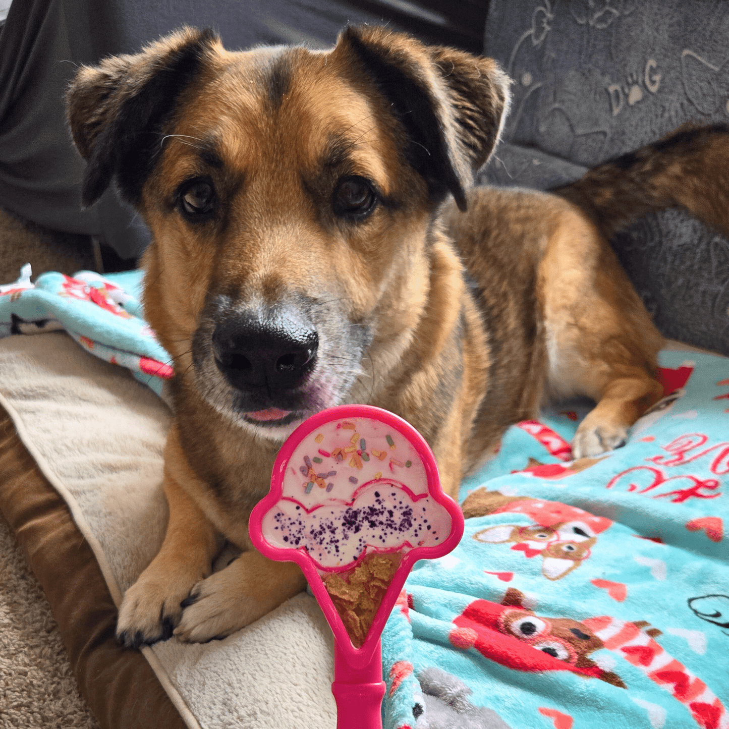 SodaPup Lick Sticks – Hand-Held Dog Enrichment & Training Toy | Dishwasher Safe | 4 Styles