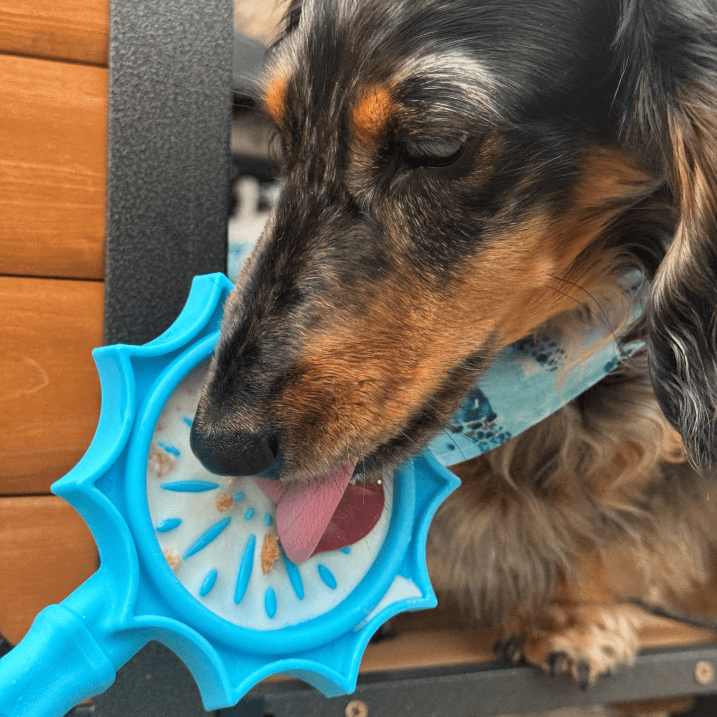 SodaPup Lick Sticks – Hand-Held Dog Enrichment & Training Toy | Dishwasher Safe | 4 Styles