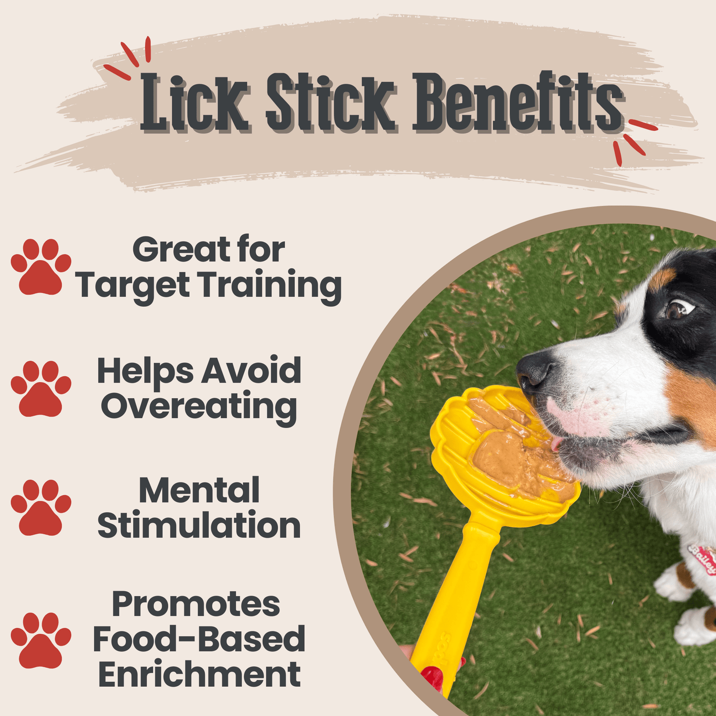 SodaPup Lick Sticks – Hand-Held Dog Enrichment & Training Toy | Dishwasher Safe | 4 Styles