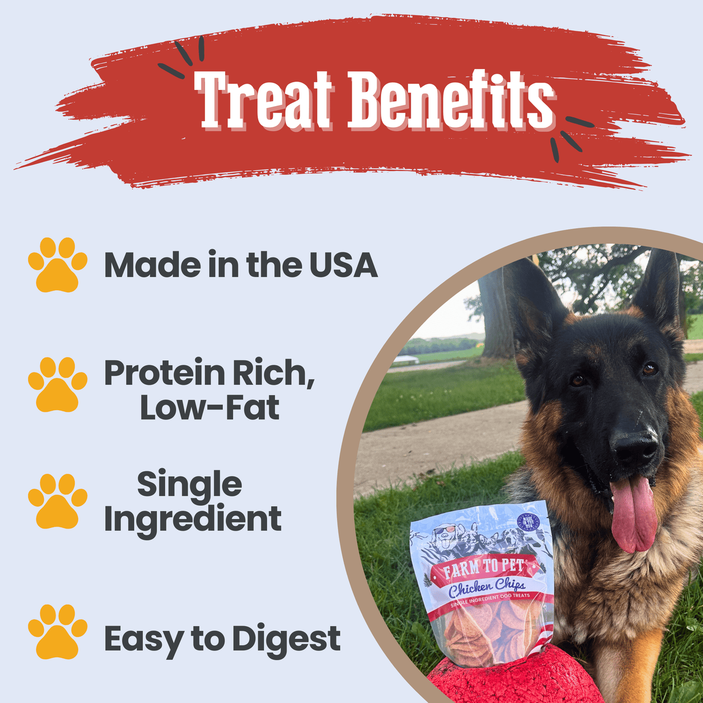 Americana Chicken Chips for Dogs – Single-Ingredient, Human-Grade | Made in USA