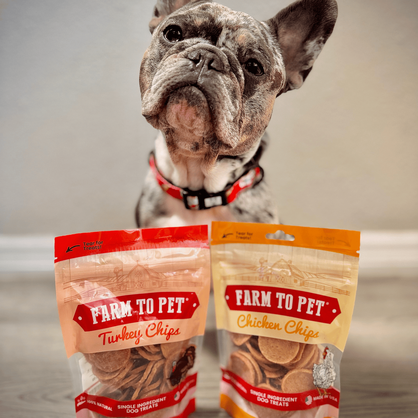 Turkey & Chicken Chip Dog Treat Duo – Single-Ingredient Poultry Value Pack | Made in USA