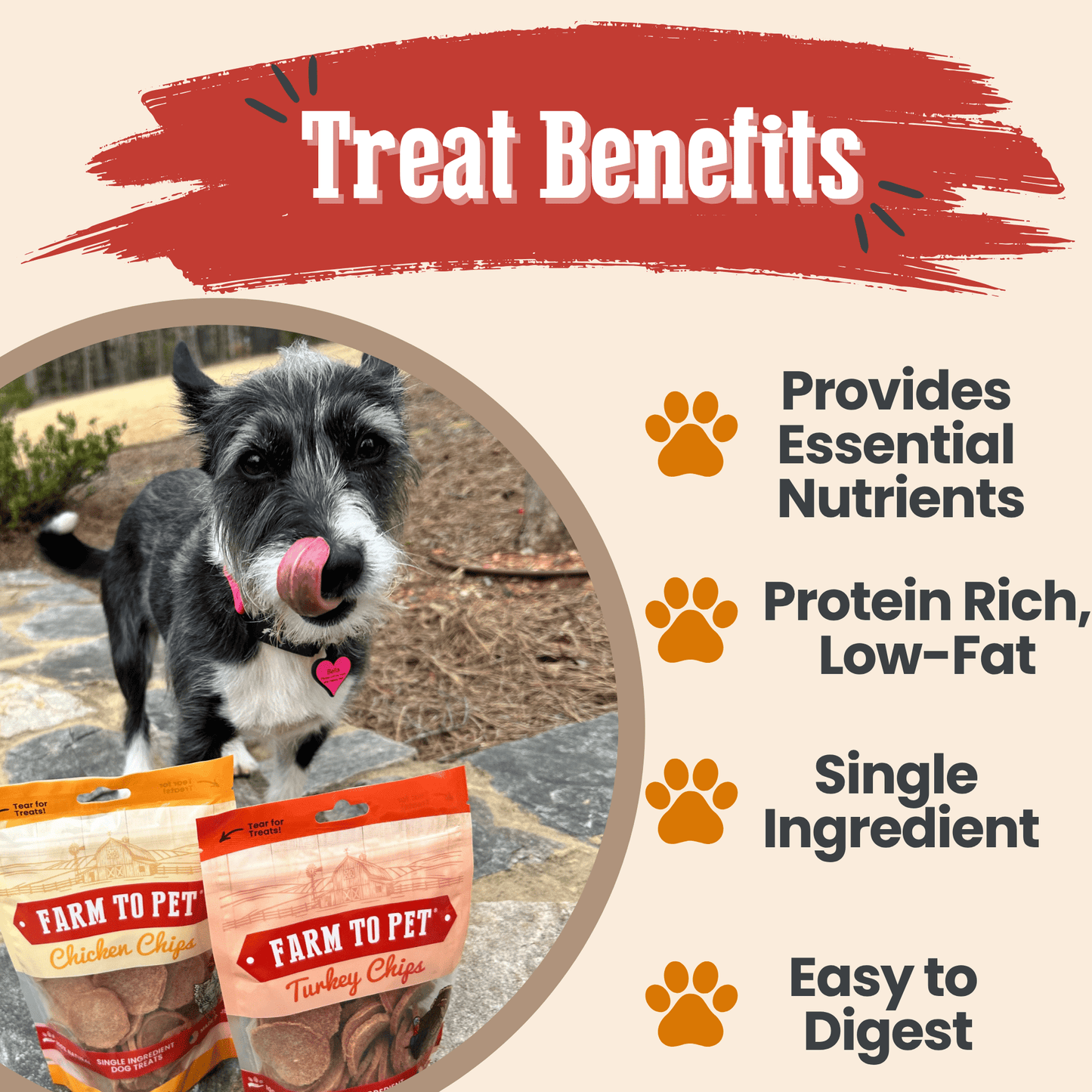 Turkey & Chicken Chip Dog Treat Duo – Single-Ingredient Poultry Value Pack | Made in USA
