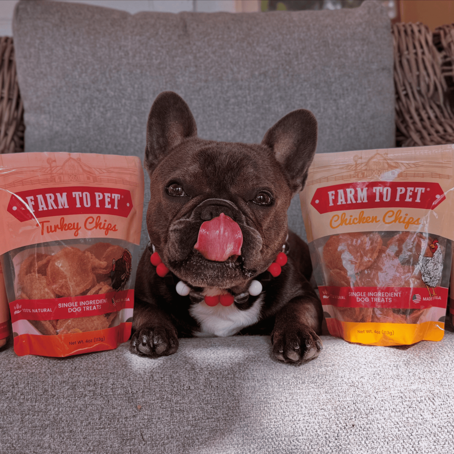 Turkey & Chicken Chip Dog Treat Duo – Single-Ingredient Poultry Value Pack | Made in USA