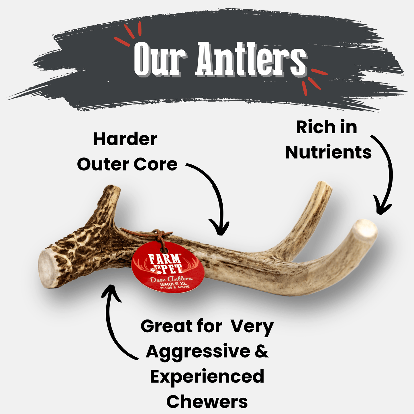 Deer Antler Dog Chews – Organic Long-Lasting Chews for Aggressive Chewers