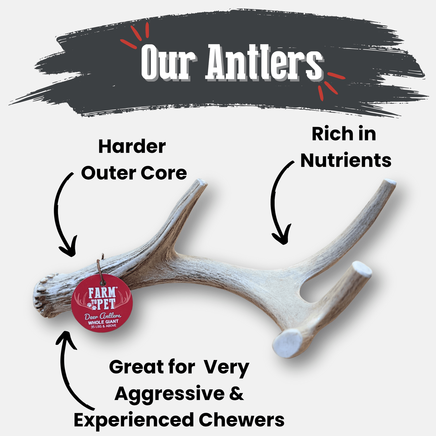 Deer Antler Dog Chews – Organic Long-Lasting Chews for Aggressive Chewers