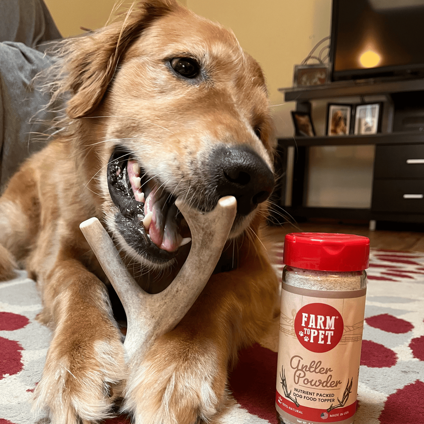 Deer Antler Dog Chews – Organic Long-Lasting Chews for Aggressive Chewers