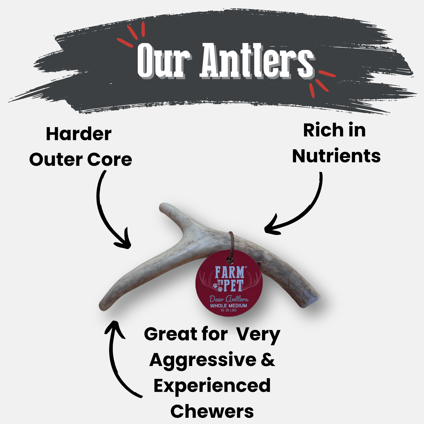 Deer Antler Dog Chews – Organic Long-Lasting Chews for Aggressive Chewers